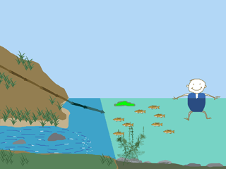 Environmental Animation 1 picture