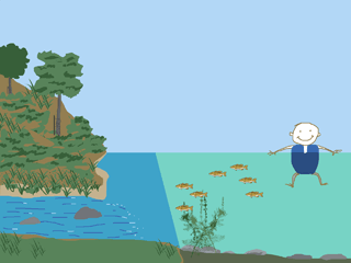 Environmental Animation 2 picture