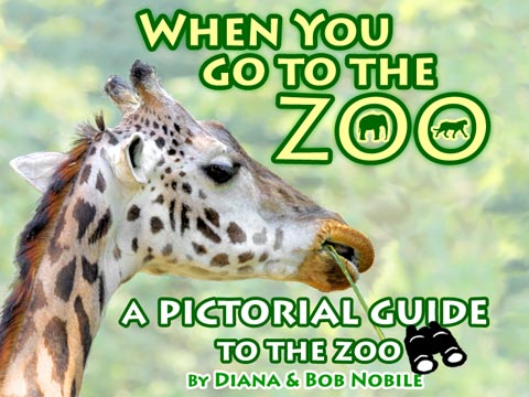 When You Go To The ZOO
