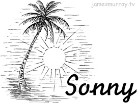 Sonny icon