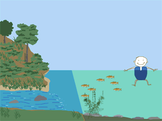 Environmental Animation 2